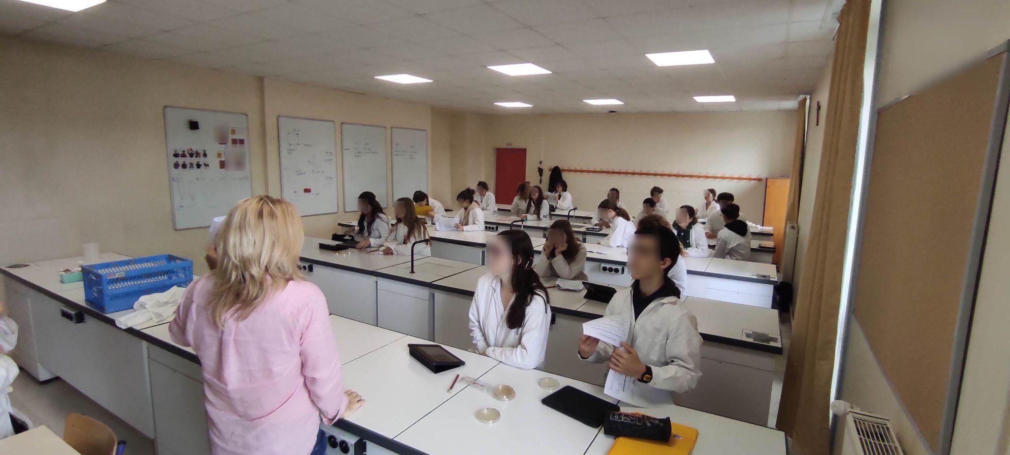 immersion stl 3eme stl 23 24