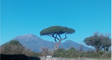 ita2324